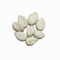 Оптовая торговля белоснежными тыквенными семечками Белые тыквенные семечки 13мм закуски